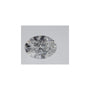 0.58 ct Oval Lab-Grown Diamond – D VVS1 – Faceted Cut – IGI Certified — Sapphire Row