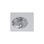 0.54 ct Oval Lab-Grown Diamond – D VS1 – Faceted Cut – IGI Certified — Sapphire Row