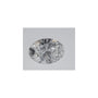 0.70 ct Oval Lab-Grown Diamond – D VVS2 – Faceted Cut – IGI Certified — Sapphire Row