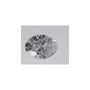 0.71 ct Oval Lab-Grown Diamond – E VVS2 – Faceted Cut – IGI Certified — Sapphire Row