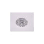 0.74 ct Oval Lab-Grown Diamond – D VVS1 – Faceted Cut – IGI Certified — Sapphire Row