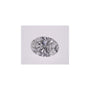 1.02 ct Oval Lab-Grown Diamond – D VVS1 – Faceted Cut – IGI Certified — Sapphire Row