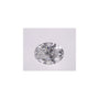 1.02 ct Oval Lab-Grown Diamond – D VVS1 – Faceted Cut – IGI Certified — Sapphire Row