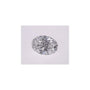 0.55 ct Oval Lab-Grown Diamond – D VVS2 – Faceted Cut – IGI Certified — Sapphire Row