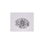 1.04 ct Oval Lab-Grown Diamond – D VVS2 – Faceted Cut – IGI Certified — Sapphire Row