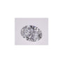 1.24 ct Oval Lab-Grown Diamond – D VVS1 – Faceted Cut – IGI Certified — Sapphire Row