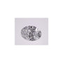 1.10 ct Oval Lab-Grown Diamond – D VVS1 – Faceted Cut – IGI Certified — Sapphire Row