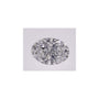 1.04 ct Oval Lab-Grown Diamond – D VVS1 – Faceted Cut – IGI Certified — Sapphire Row