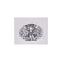 1.04 ct Oval Lab-Grown Diamond – D VVS2 – Faceted Cut – IGI Certified — Sapphire Row