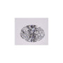 1.04 ct Oval Lab-Grown Diamond – D VVS2 – Faceted Cut – IGI Certified — Sapphire Row