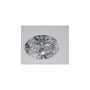 1.52 ct Oval Lab-Grown Diamond – D VVS2 – Faceted Cut – IGI Certified — Sapphire Row