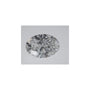 1.58 ct Oval Lab-Grown Diamond – D VVS2 – Faceted Cut – IGI Certified — Sapphire Row