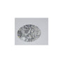 1.50 ct Oval Natural Diamond – F VS1 – Faceted Cut – GIA Certified — Sapphire Row