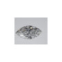 0.71 ct Marquise Natural Diamond – E IF – Faceted Cut – GIA Certified — Sapphire Row