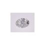 0.61 ct Oval Natural Diamond – F VS2 – Faceted Cut – GIA Certified — Sapphire Row
