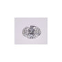 0.53 ct Oval Natural Diamond – D VVS1 – Faceted Cut – GIA Certified — Sapphire Row