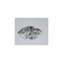 0.93 ct lab-grown diamond, marquise cut | Sapphire Row