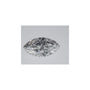 1.00 ct Marquise Lab-Grown Diamond – D VVS1 – Faceted Cut – IGI Certified — Sapphire Row