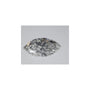 1.00 ct Marquise Lab-Grown Diamond – F VVS2 – Faceted Cut – IGI Certified — Sapphire Row