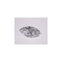1.02 ct Marquise Lab-Grown Diamond – D VVS2 – Faceted Cut – IGI Certified — Sapphire Row