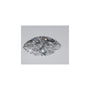 0.91 ct Marquise Lab-Grown Diamond – E VVS1 – Faceted Cut – IGI Certified — Sapphire Row