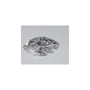 0.90 ct Marquise Lab-Grown Diamond – D VVS1 – Faceted Cut – IGI Certified — Sapphire Row