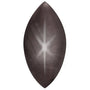 8x4 mm Marquise Natural Black Star Sapphire – Cabochon Cut – AA Quality — Sapphire Row