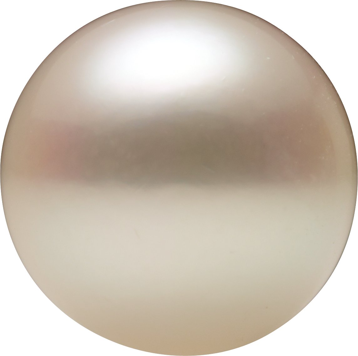 8.5 mm Round White Cultured Akoya Pearl – Half-Drilled – AA Quality — Sapphire Row