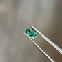 Sapphire Row 0.31 ct Natural Emerald Green, Oval Cut, Zambia, AIG Certified