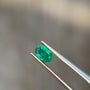Sapphire Row 0.33 ct Natural Emerald Green, Oval Cut, Zambia, AIG Certified