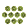 Lot of 10: 4 mm natural green peridot, round cut | Sapphire Row · cut7