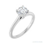 Sapphire Row Cathedral Claw-Prong Hidden Halo-Style Engagement Ring setting in Platinum, shown with a centre stone (sold separately)