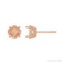 Sapphire Row Cushion 4-Prong Butterfly Scroll Stud Earrings setting in 14K Rose Gold, shown with a center stone (sold separately)