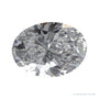 1.01 ct lab-grown diamond, oval cut | Sapphire Row · cut4