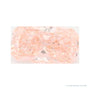 1.66 ct lab-grown fancy vivid pink diamond, radiant cut | Sapphire Row · cut4