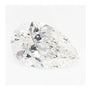 0.65 ct Lab-Grown Diamond – E VS1 – Pear Cut – GCAL Certified — Sapphire Row · cut7